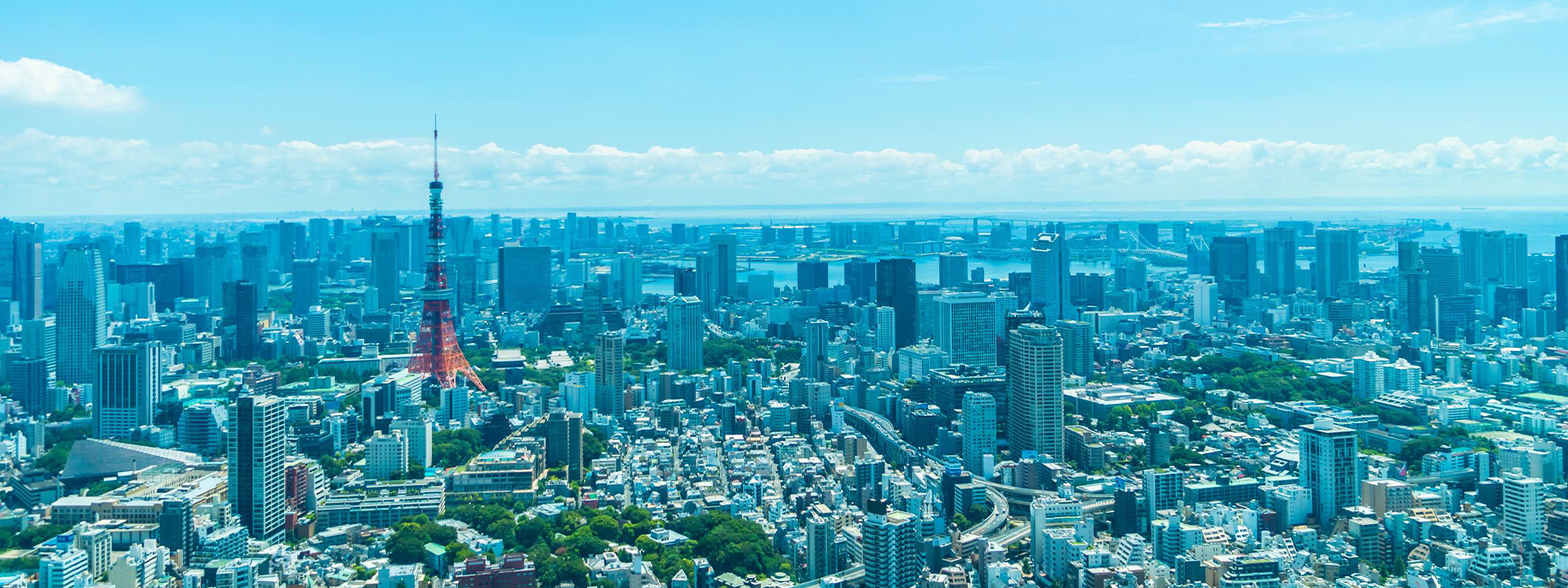 日本で創る新たな価値